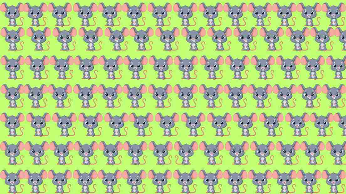 Brain Teaser: Are You Smart Enough to Find The Odd One Out?